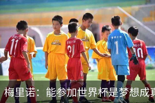 梅里诺：能参加世界杯是梦想成真，我克服了受伤的艰难时刻