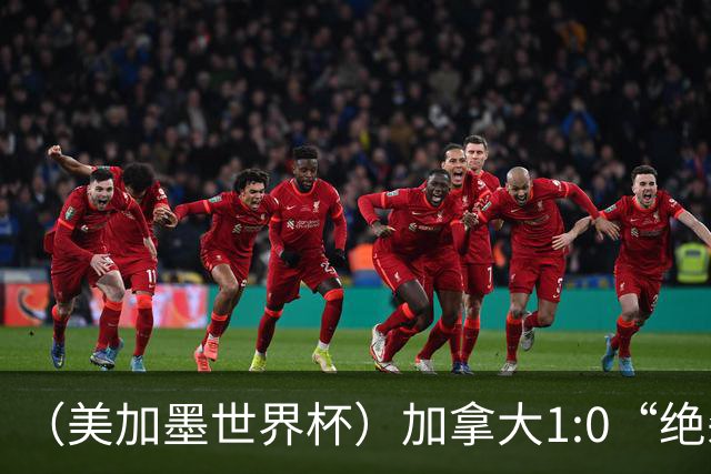 （美加墨世界杯）加拿大1:0“绝杀”南非 队史首进16强